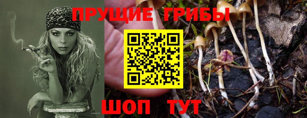 Галлюциногенные грибы MAGIC MUSHROOMS  Вход с VPN  Псилоцибиновые грибы Magic Shrooms  где продают   Нововоронеж 